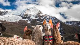Lista de hotéis: Cuzco