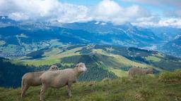 Hotéis em Megève