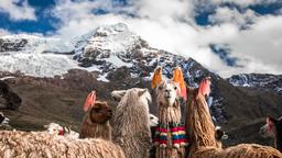 Hotéis perto de Cuzco Aeroporto Internacional Alejandro Velazco Astete