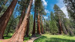 Casas de férias em Parque Nacional da Sequoia