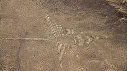 Lista de hotéis: Placa de Nazca