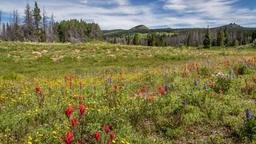 Hotéis em Steamboat Springs