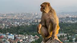 Hotéis em Nepal