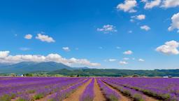 Hotéis em Furano