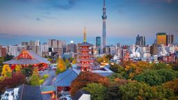 Encontra voos baratos de Porto para &Aacute;sia