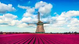 Voos para Holanda