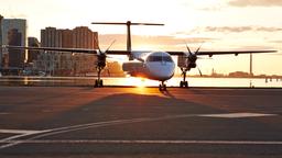 Encontra voos baratos na Porter Airlines