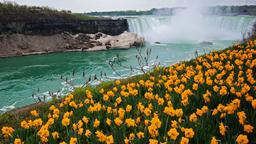Lista de hotéis: Niagara Falls