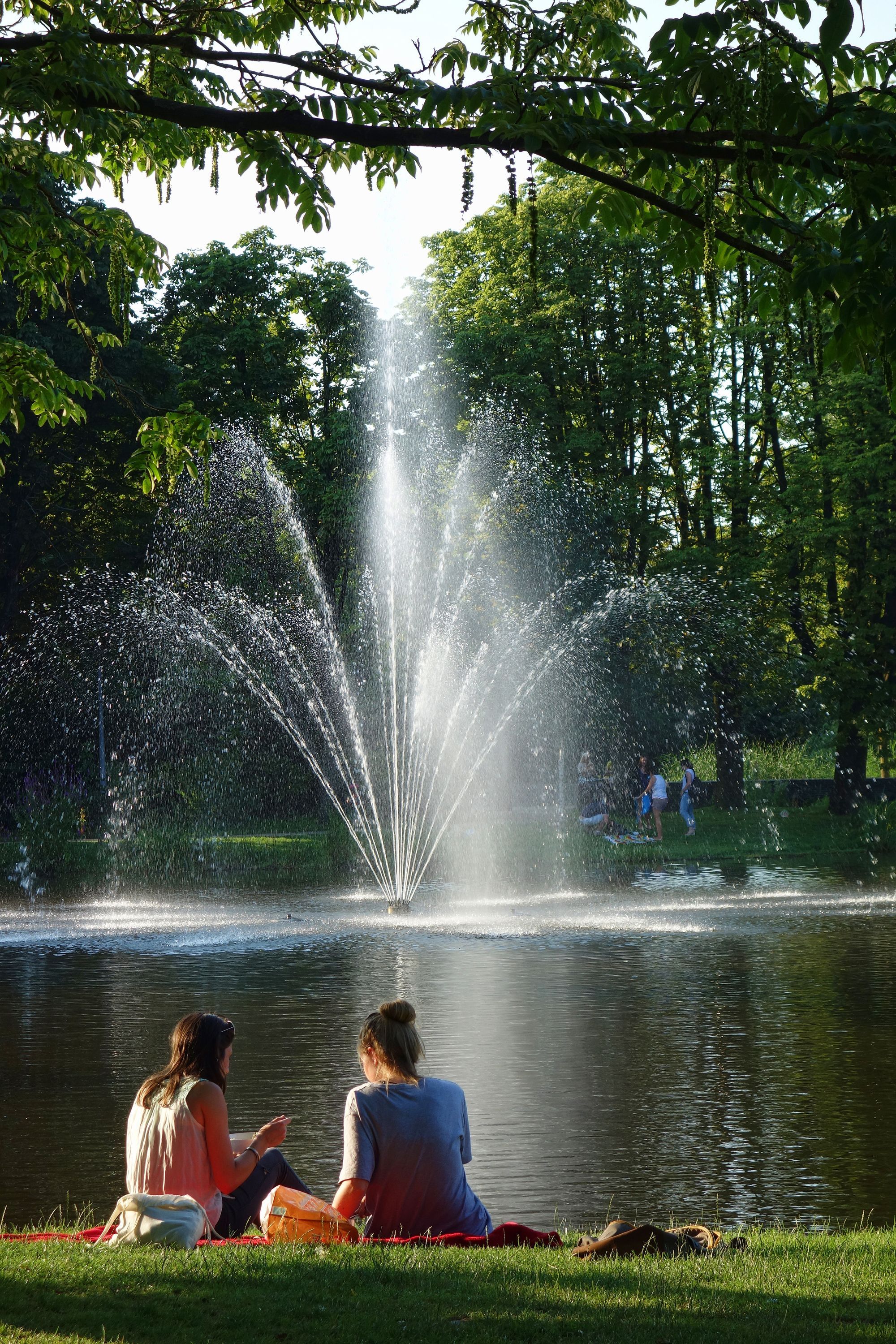 Aluguer de carros com a Amesterd&atilde;o