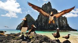 Hotéis em Fernando de Noronha