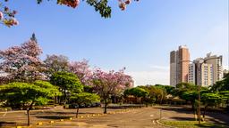 Hotéis perto de Aeroporto Londrina