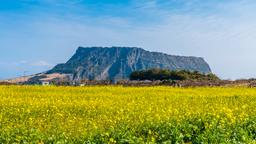 Hotéis em Jeju