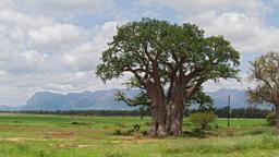 Hotéis em Hoedspruit