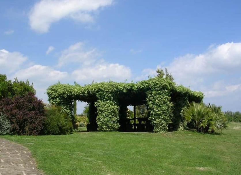 Exterior Foto