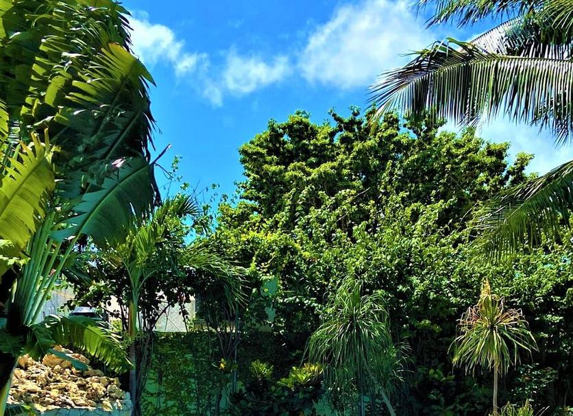 Exterior Foto