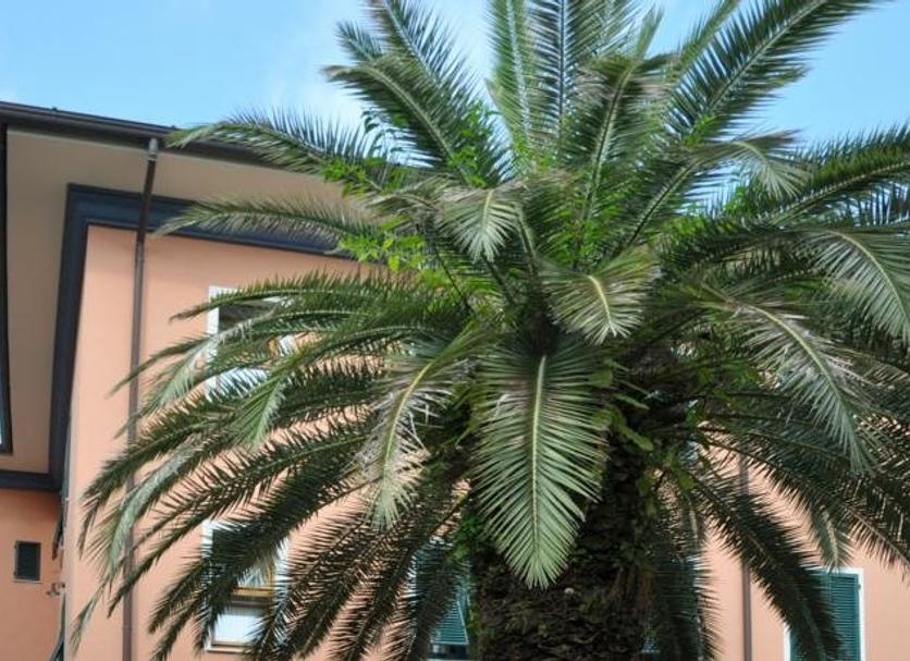 Exterior Foto