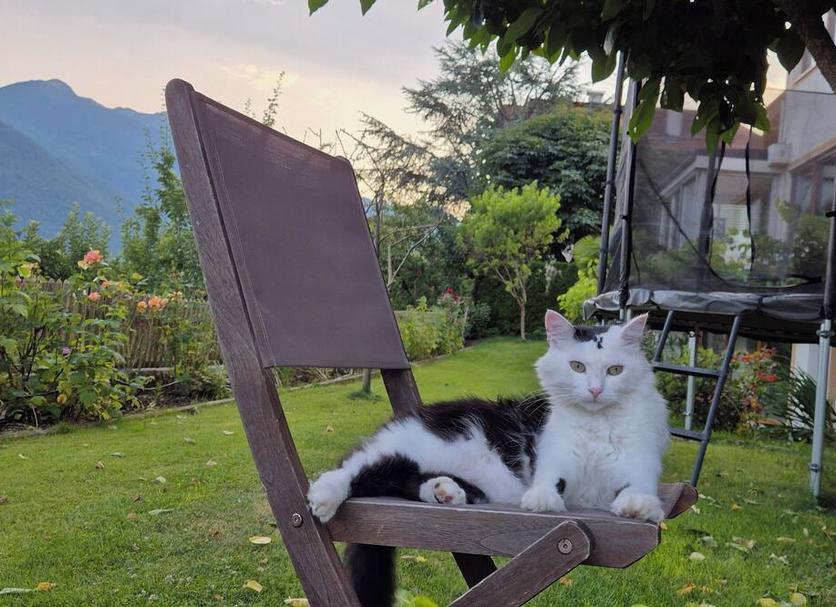 Outra Foto