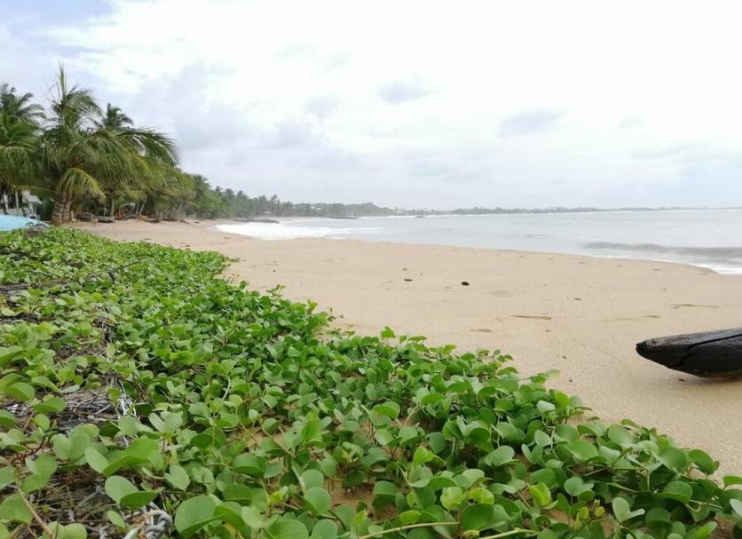 Praia Foto