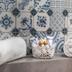 Comodidade do quarto