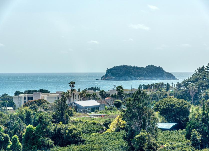 Edifício Foto