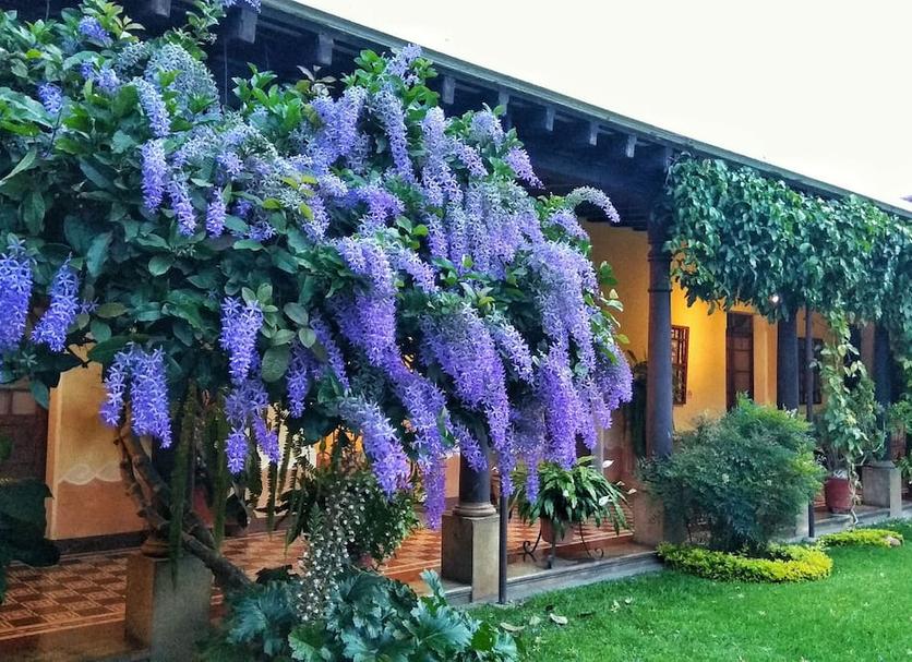Exterior Foto