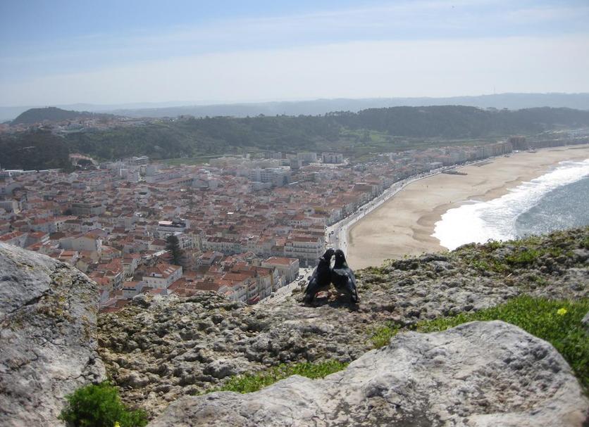 Outra Foto