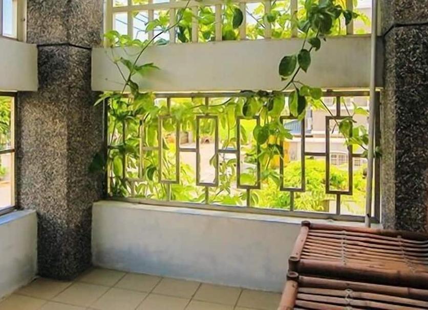 Outra Foto