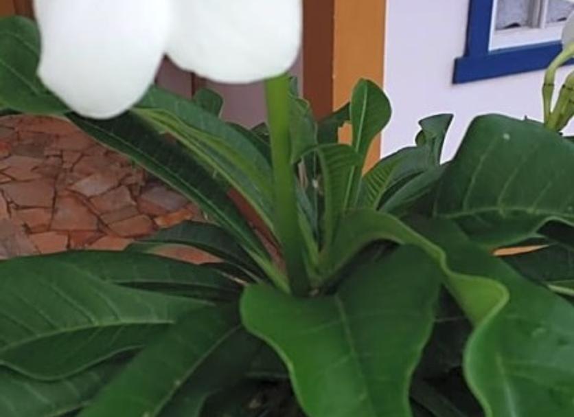 Comodidade do quarto Foto