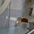 Comodidade do quarto