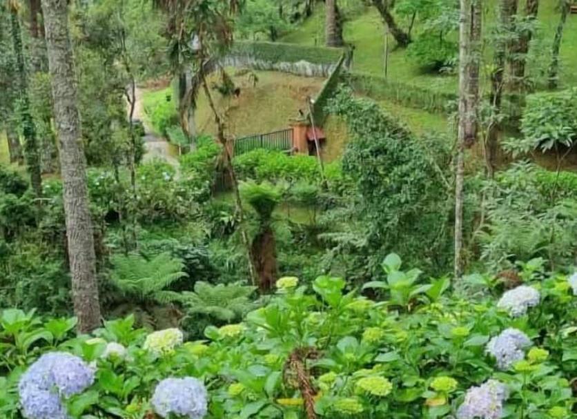 Outra Foto