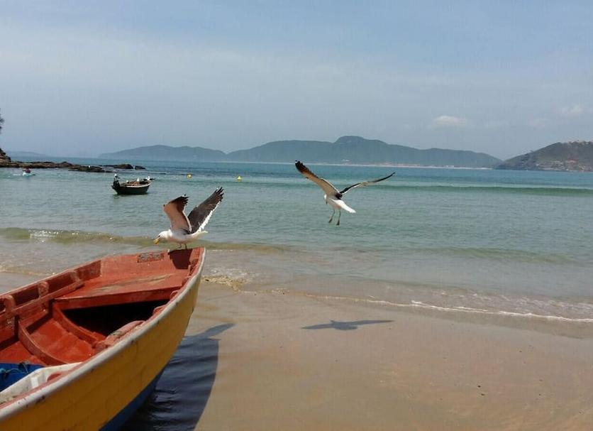 Praia Foto