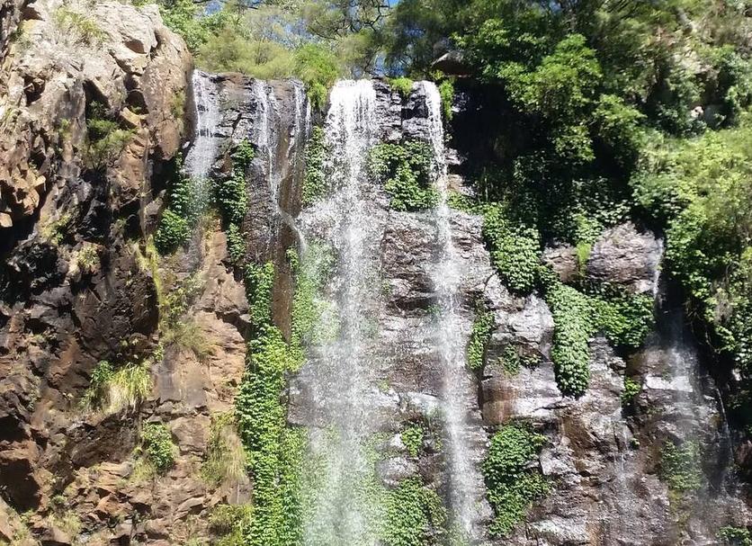 Outra Foto