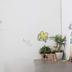 Comodidade do quarto