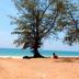 Praia