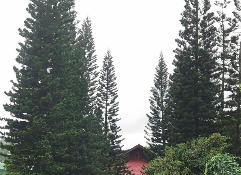 Exterior Foto