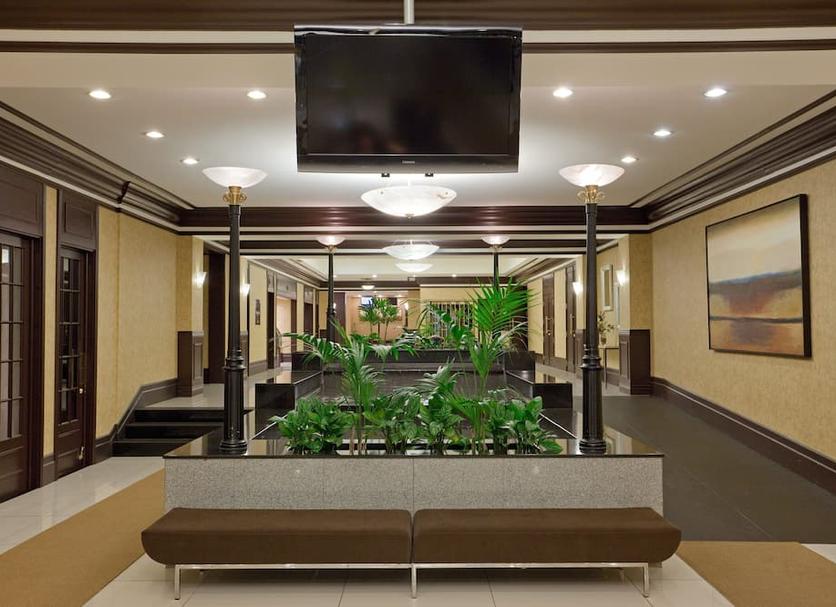Hall Foto