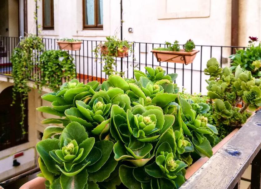 Exterior Foto