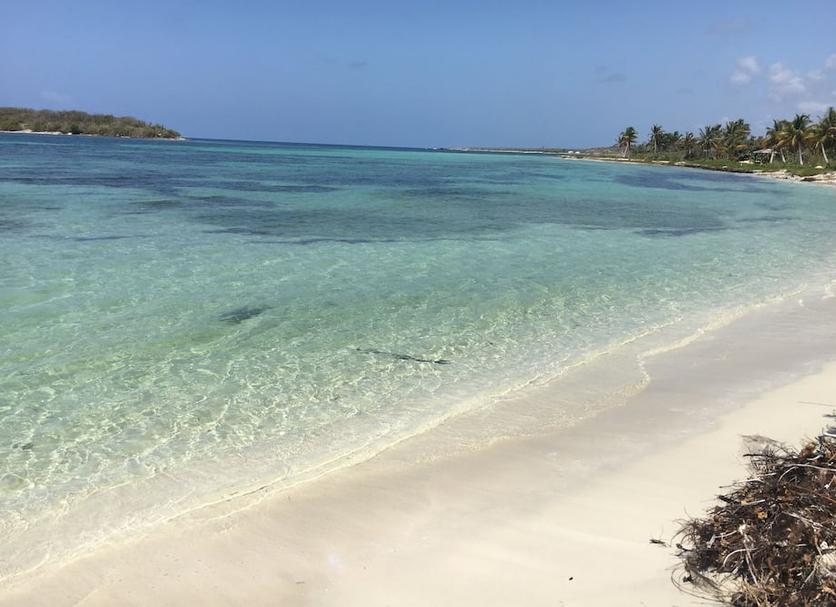 Praia Foto