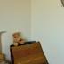 Comodidade do quarto