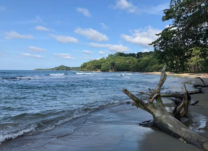 Outra Foto