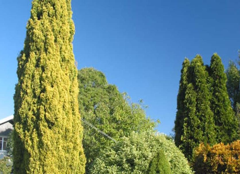 Exterior Foto