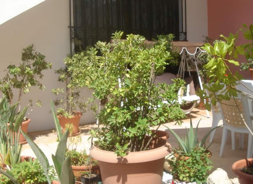 Exterior Foto