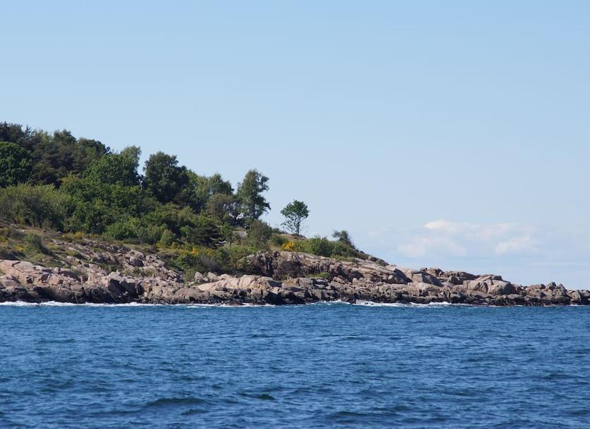 Outra Foto