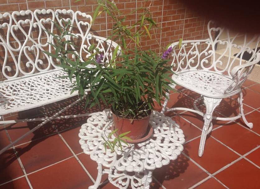 Outra Foto