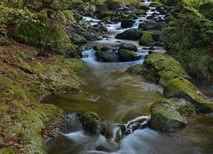 Outra Foto