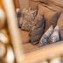 Comodidade do quarto