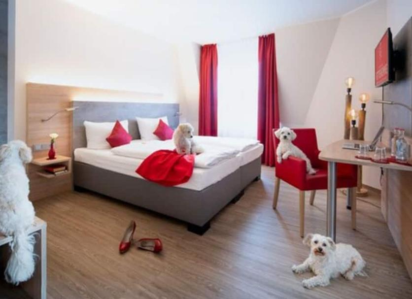 Quarto Foto