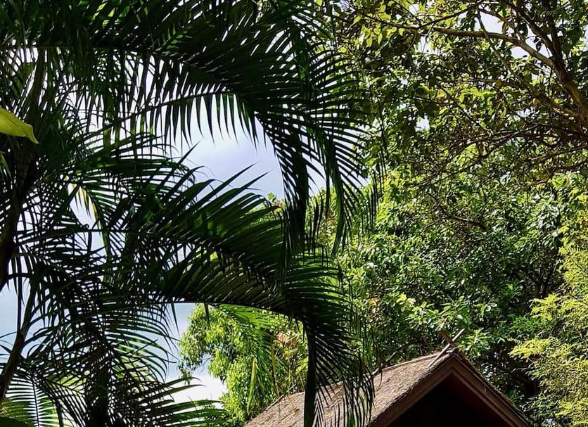 Exterior Foto