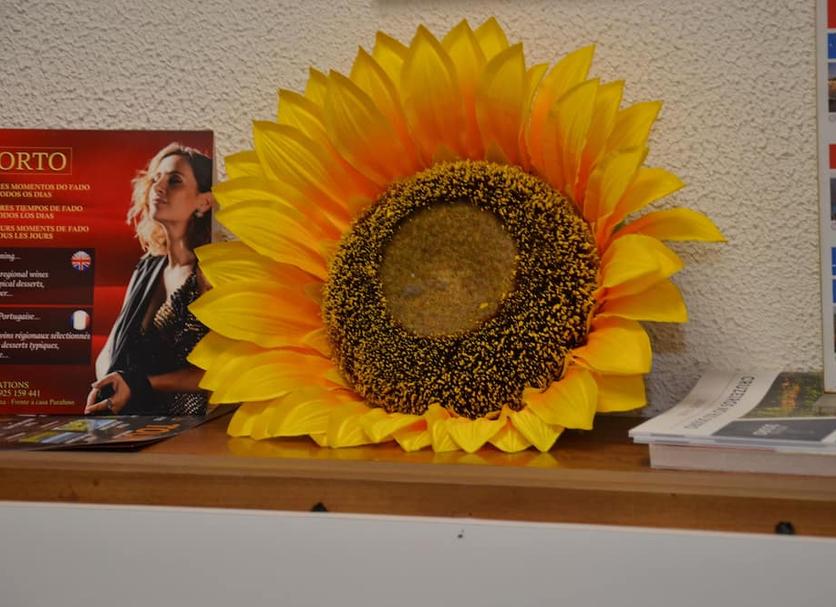 Outra Foto