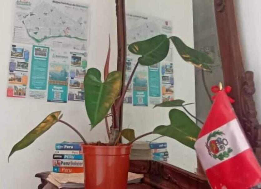 Comodidade do quarto Foto